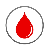 Labordiagnostik, Sonographie mit Leberfettmessung, EKG, Beratung bei erschwerter Blutdruckeinstellung